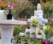 Seon Centre Kinglake Kuan Yin