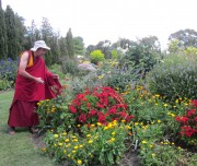 Tibetan Buddhist soceity Garden
