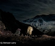 SnowLeopard-Safari-Leh-006