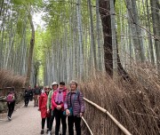 6-Bamboo Forest kyoto